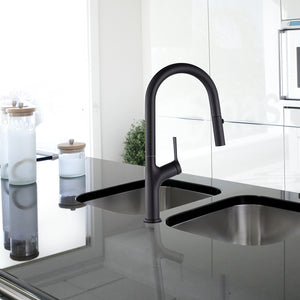 Kitchen Laundry Bathroom Basin Sink Pull Out Mixer Tap Faucet - Black