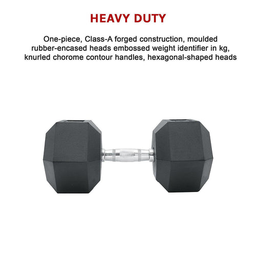 25kg Commercial Rubber Hex Dumbbell Gym Weight