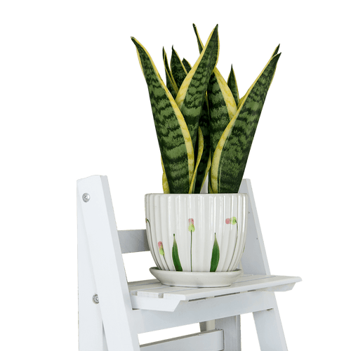 5 Tier Wooden Ladder Shelf Stand Storage Book Display Rack - White