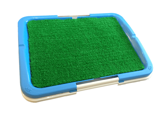 Portable Puppy Pet Toilet