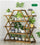 Bamboo Multilayer Flower Plant Bonsai Rack Shelf Stand Porch Lawn Patio - Dark Wood