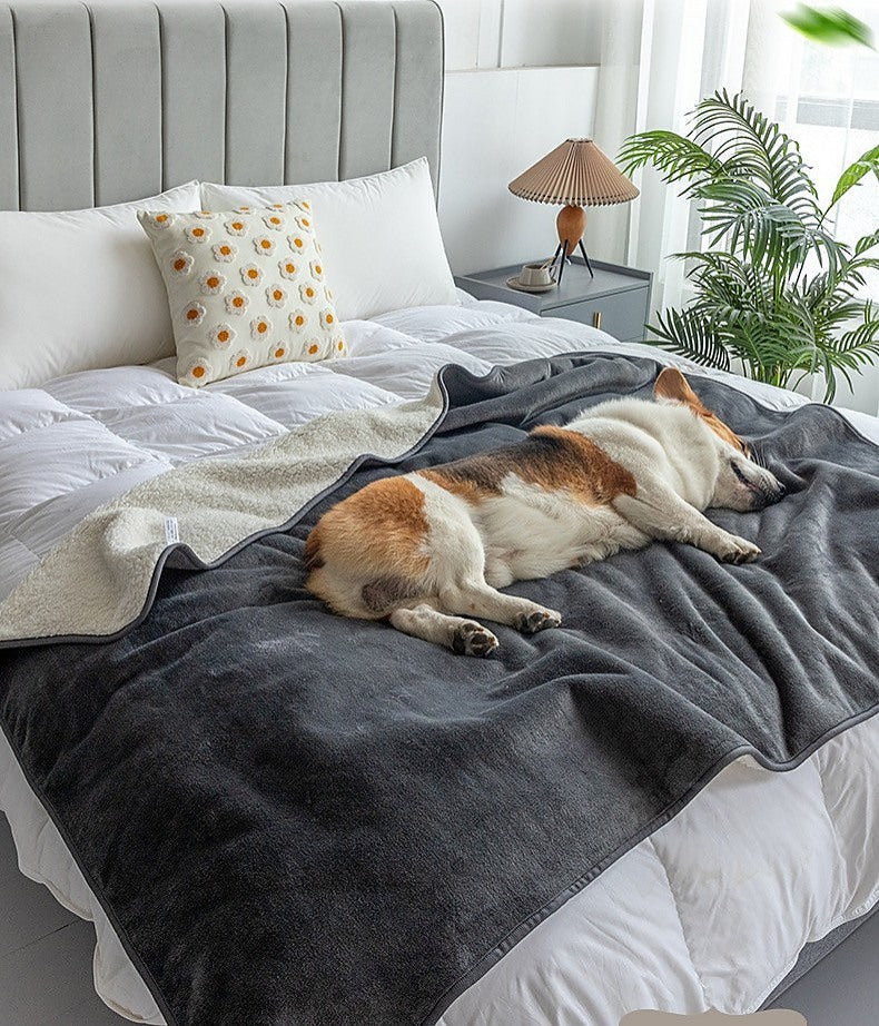 Premium Waterproof Reversible Pet Dog Blanket Bed Protects Couch Bed from Spills Black Home Lifestyle Pet Supplies