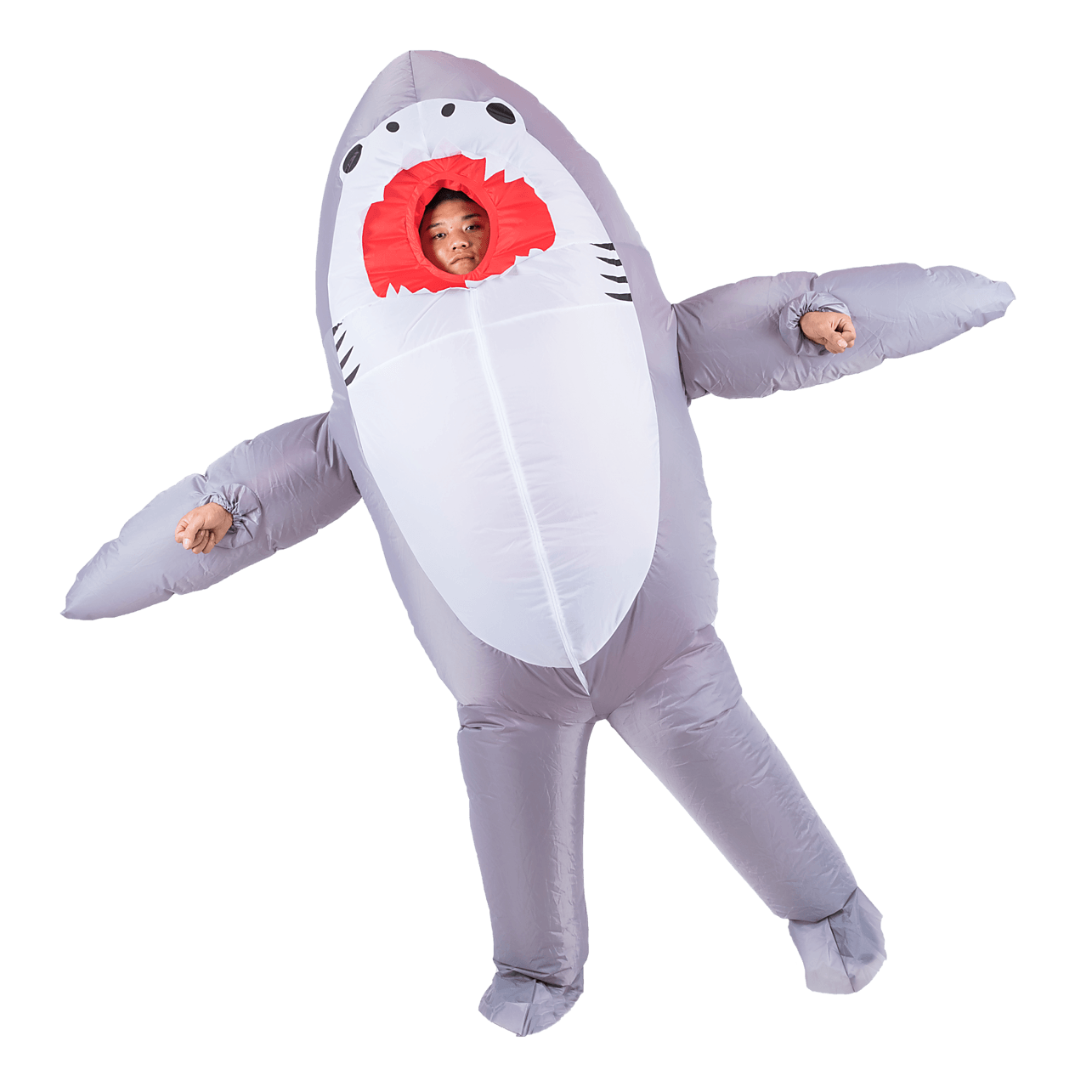 Various Design Fancy Dress Inflatable Suit Fan Operated Costume