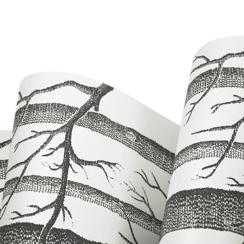 Wallpaper White Birch Tree Non-woven Wall Paper Roll